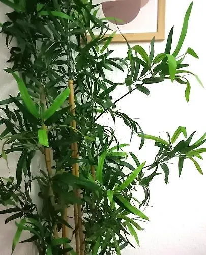 Centrico En By Bebalmy Cordoba